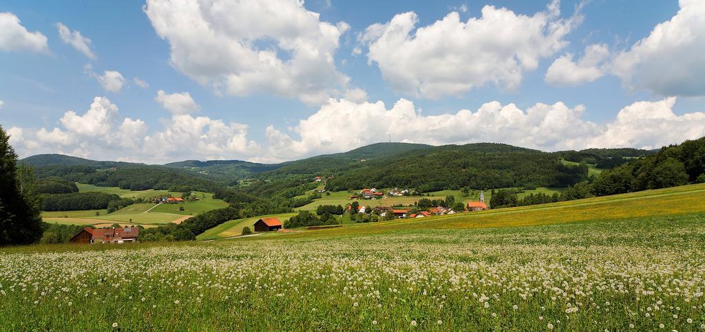 Landgut Stetter Hotel Schollnach Bagian luar foto