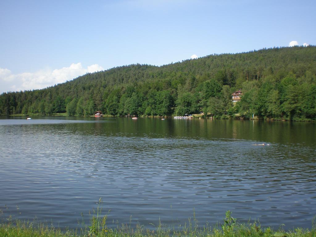 Landgut Stetter Hotel Schollnach Bagian luar foto