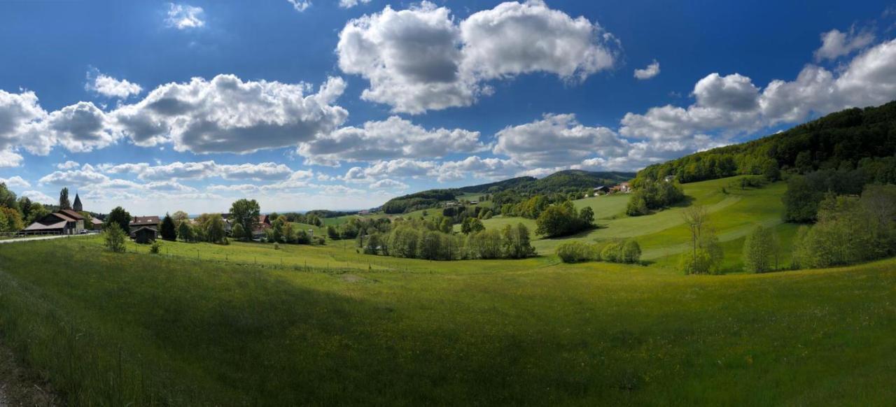 Landgut Stetter Hotel Schollnach Bagian luar foto